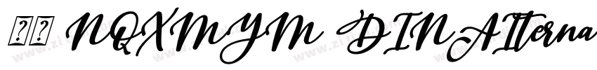 字体 NQXMYM DINAIterna字体转换